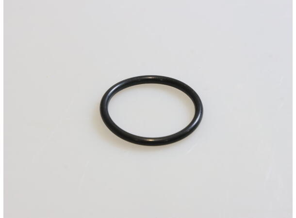 Seal O-Ring 