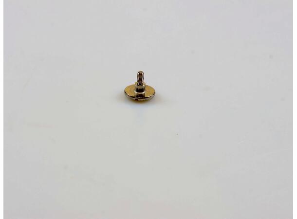 Syrup Rail Mounting Screws 